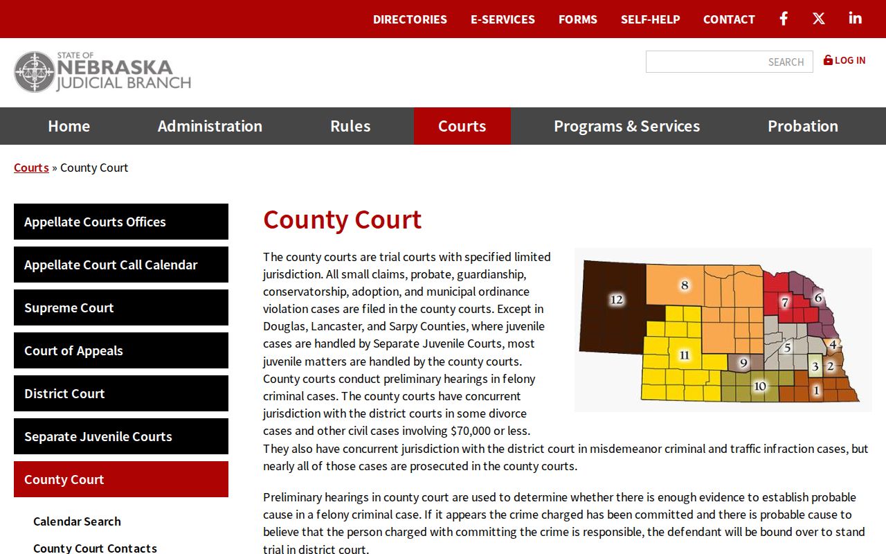Nebraska County Court jurisdiction overview for Dixon County civil docket categories