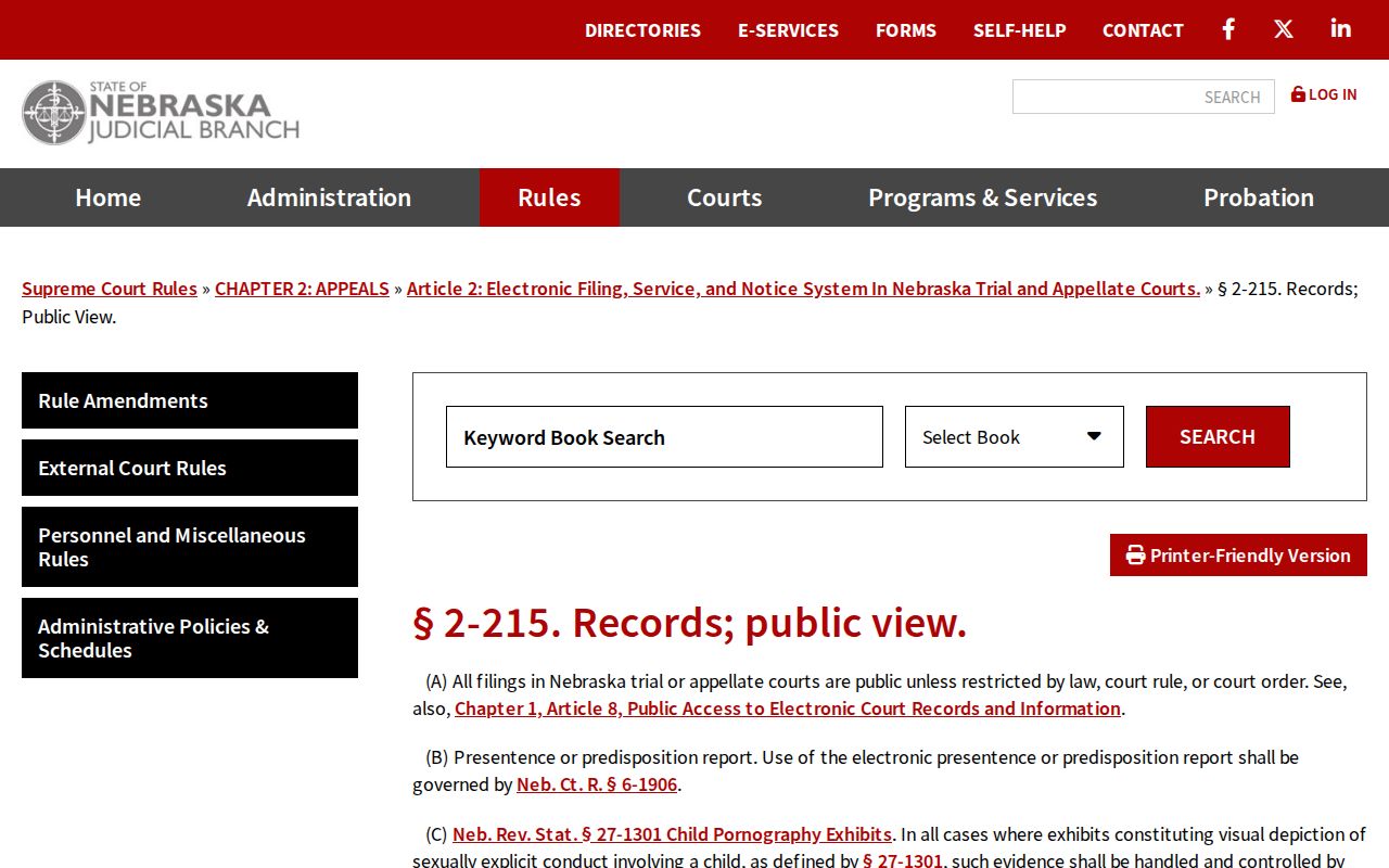 Nebraska electronic public view rule relevant to Dixon County criminal docket records
